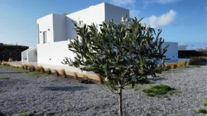 Real Estate Santorini Greece Sale Rent Assyr Suites Santorini 1 Real Estate Santorini Greece Sale Rent 01